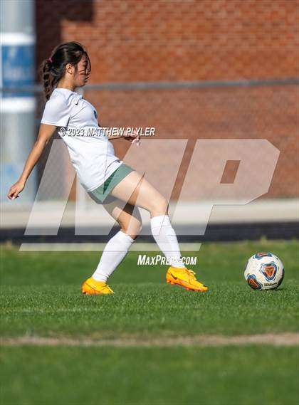 Thumbnail 3 in Pine Forest @ Terry Sanford photogallery.