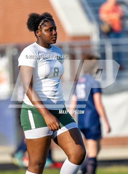 Thumbnail 2 in Pine Forest @ Terry Sanford photogallery.