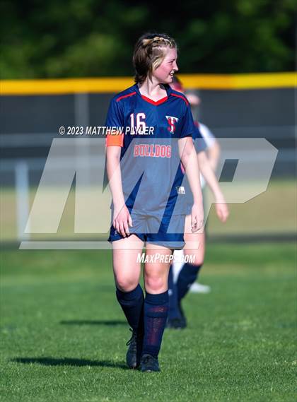 Thumbnail 2 in Pine Forest @ Terry Sanford photogallery.
