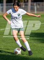 Photo from the gallery "Pine Forest @ Terry Sanford"