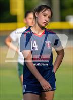 Photo from the gallery "Pine Forest @ Terry Sanford"