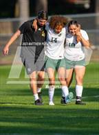 Photo from the gallery "Pine Forest @ Terry Sanford"