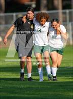 Photo from the gallery "Pine Forest @ Terry Sanford"