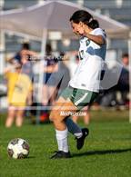 Photo from the gallery "Pine Forest @ Terry Sanford"