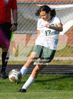 Photo from the gallery "Pine Forest @ Terry Sanford"