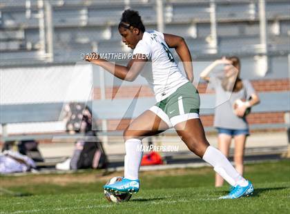 Thumbnail 2 in Pine Forest @ Terry Sanford photogallery.