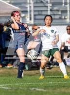 Photo from the gallery "Pine Forest @ Terry Sanford"