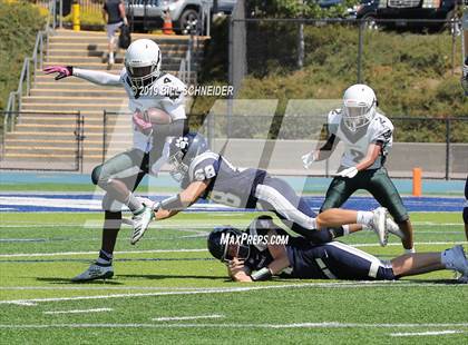 Thumbnail 1 in El Cerrito @ Marin Catholic photogallery.