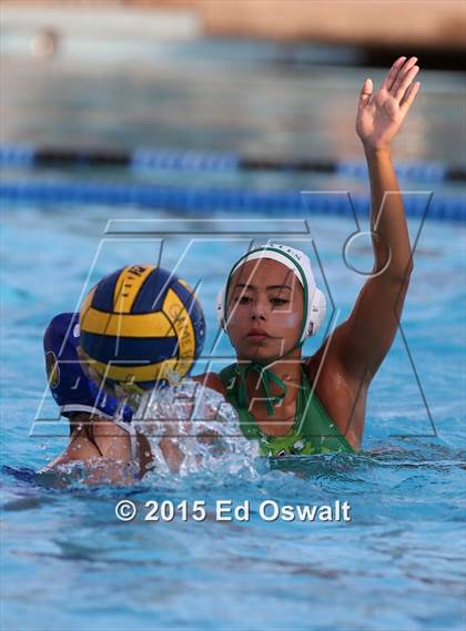 Thumbnail 2 in Drake @ Acalanes photogallery.