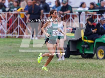 Thumbnail 1 in UIL Cross Country 6A Finals (5K) photogallery.