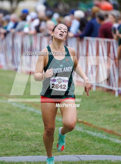 Thumbnail 3 in UIL Cross Country 6A Finals (5K) photogallery.