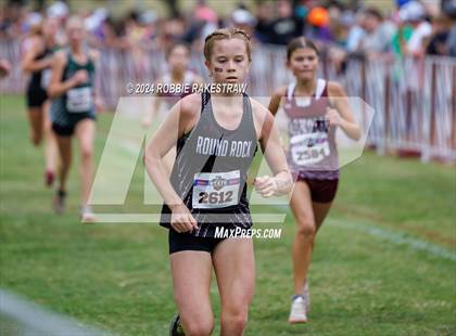 Thumbnail 1 in UIL Cross Country 6A Finals (5K) photogallery.