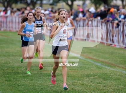 Thumbnail 2 in UIL Cross Country 6A Finals (5K) photogallery.