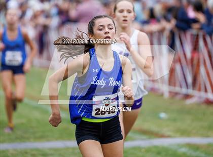 Thumbnail 3 in UIL Cross Country 6A Finals (5K) photogallery.