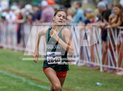 Thumbnail 3 in UIL Cross Country 6A Finals (5K) photogallery.