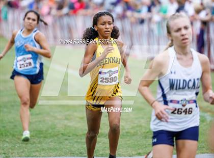 Thumbnail 1 in UIL Cross Country 6A Finals (5K) photogallery.