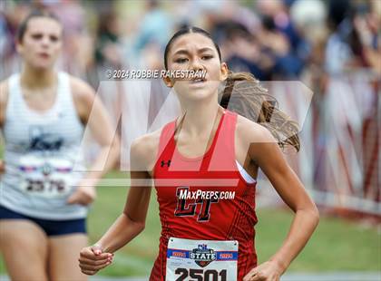 Thumbnail 1 in UIL Cross Country 6A Finals (5K) photogallery.