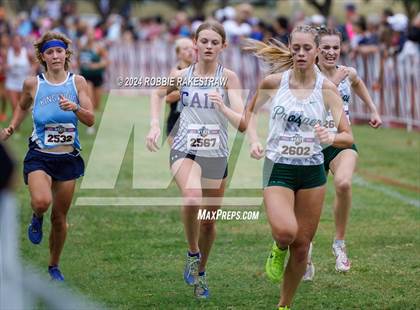 Thumbnail 3 in UIL Cross Country 6A Finals (5K) photogallery.