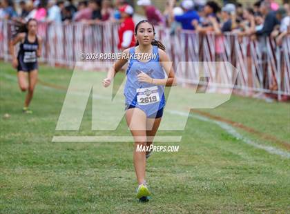 Thumbnail 1 in UIL Cross Country 6A Finals (5K) photogallery.