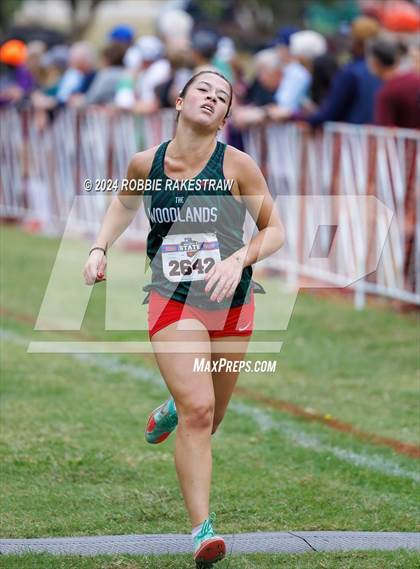 Thumbnail 2 in UIL Cross Country 6A Finals (5K) photogallery.