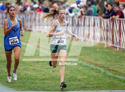 Thumbnail 1 in UIL Cross Country 6A Finals (5K) photogallery.