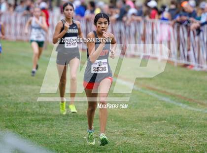 Thumbnail 2 in UIL Cross Country 6A Finals (5K) photogallery.