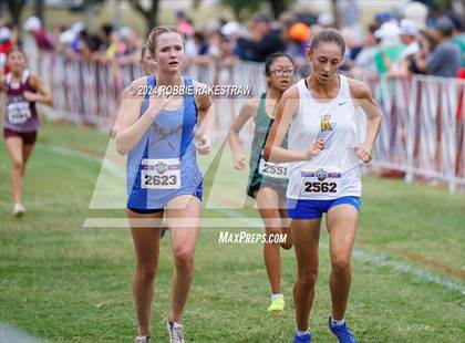 Thumbnail 2 in UIL Cross Country 6A Finals (5K) photogallery.