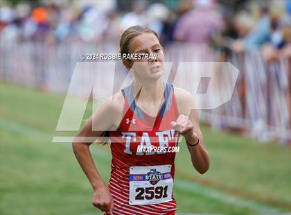 Thumbnail 1 in UIL Cross Country 6A Finals (5K) photogallery.