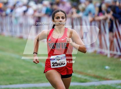 Thumbnail 1 in UIL Cross Country 6A Finals (5K) photogallery.
