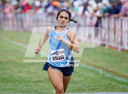 Thumbnail 2 in UIL Cross Country 6A Finals (5K) photogallery.