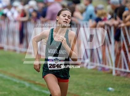 Thumbnail 2 in UIL Cross Country 6A Finals (5K) photogallery.