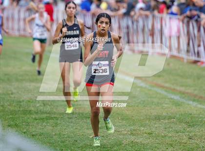 Thumbnail 1 in UIL Cross Country 6A Finals (5K) photogallery.