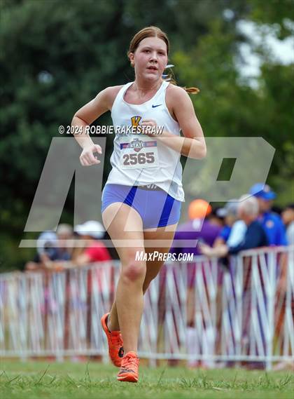 Thumbnail 1 in UIL Cross Country 6A Finals (5K) photogallery.