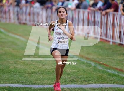 Thumbnail 1 in UIL Cross Country 6A Finals (5K) photogallery.