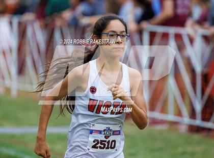 Thumbnail 3 in UIL Cross Country 6A Finals (5K) photogallery.