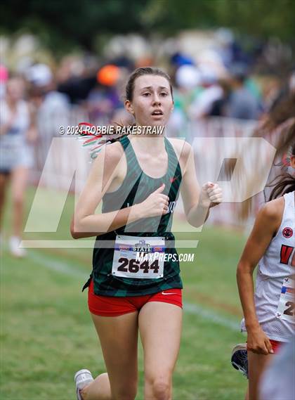 Thumbnail 1 in UIL Cross Country 6A Finals (5K) photogallery.