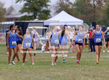 Thumbnail 1 in UIL Cross Country 6A Finals (5K) photogallery.