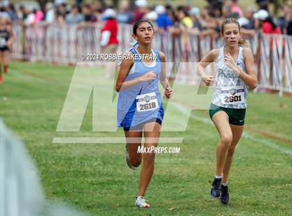 Thumbnail 1 in UIL Cross Country 6A Finals (5K) photogallery.