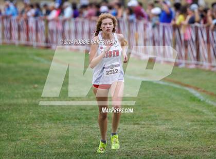 Thumbnail 2 in UIL Cross Country 6A Finals (5K) photogallery.