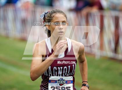 Thumbnail 3 in UIL Cross Country 6A Finals (5K) photogallery.