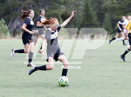 Thumbnail 1 in Douglas @ Truckee photogallery.