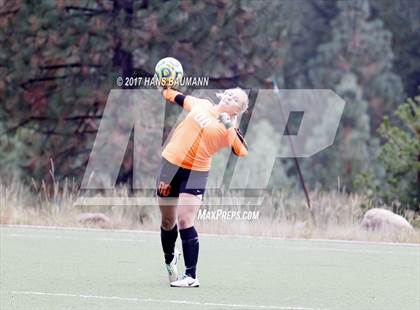 Thumbnail 2 in Douglas @ Truckee photogallery.