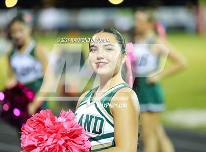 Thumbnail 3 in Fleming Island @ Middleburg photogallery.
