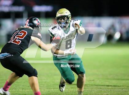 Thumbnail 2 in Fleming Island @ Middleburg photogallery.