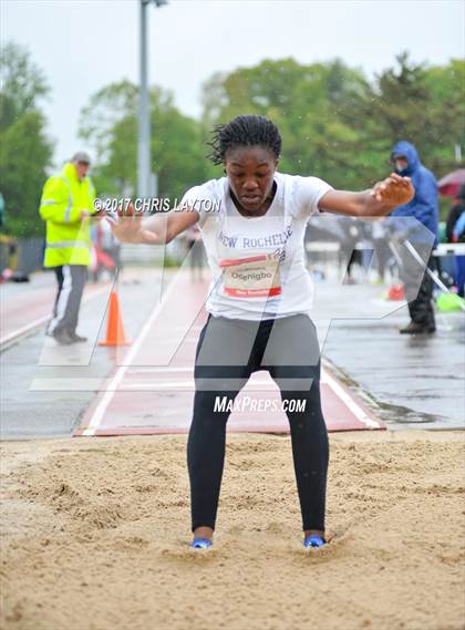 Thumbnail 1 in 50th Annual Loucks Games (Women's Triple Jump) photogallery.