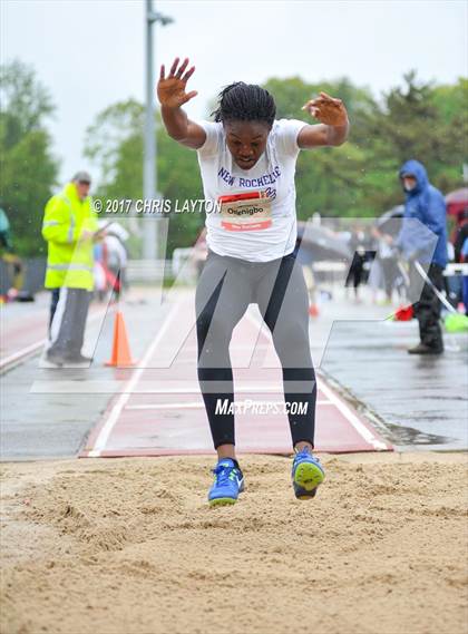 Thumbnail 3 in 50th Annual Loucks Games (Women's Triple Jump) photogallery.