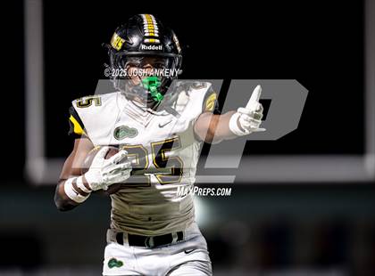 Thumbnail 3 in St. Amant @ Live Oak photogallery.