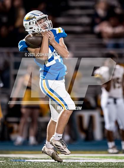 Thumbnail 1 in St. Amant @ Live Oak photogallery.