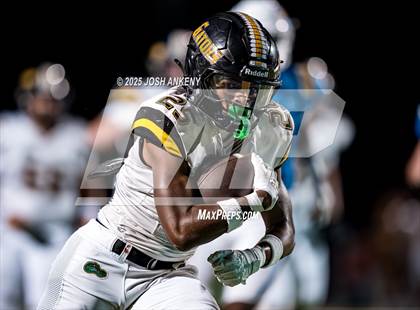 Thumbnail 3 in St. Amant @ Live Oak photogallery.