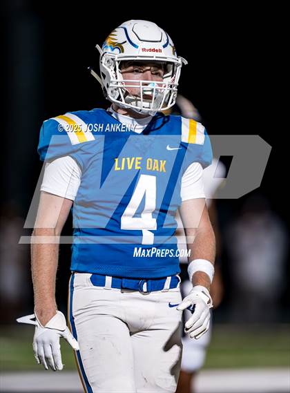 Thumbnail 3 in St. Amant @ Live Oak photogallery.